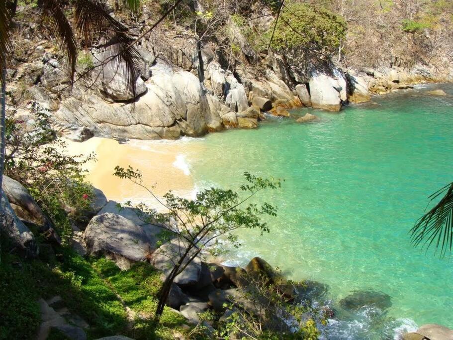 Apartament Casa Maleni 2 En Mismaloya Puerto Vallarta Zewnętrze zdjęcie